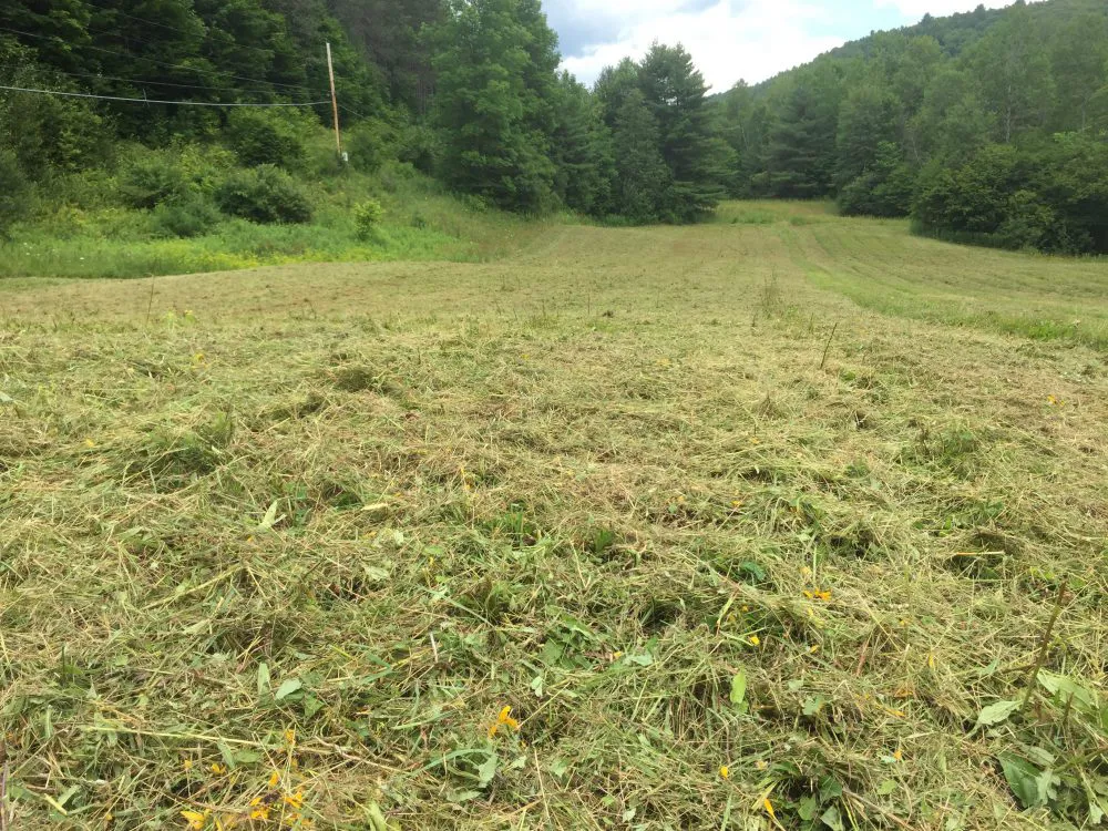 It’s Field Mowing Season Part Two
