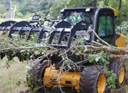 Bradco root rake grapples